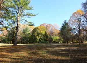 fall foliage in Delaware