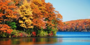 Autumn foliage over lake