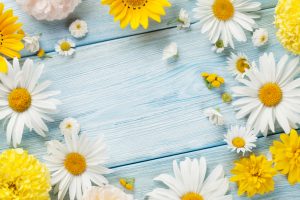 Garden flowers over wooden background