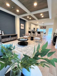 kennett square townhome living room