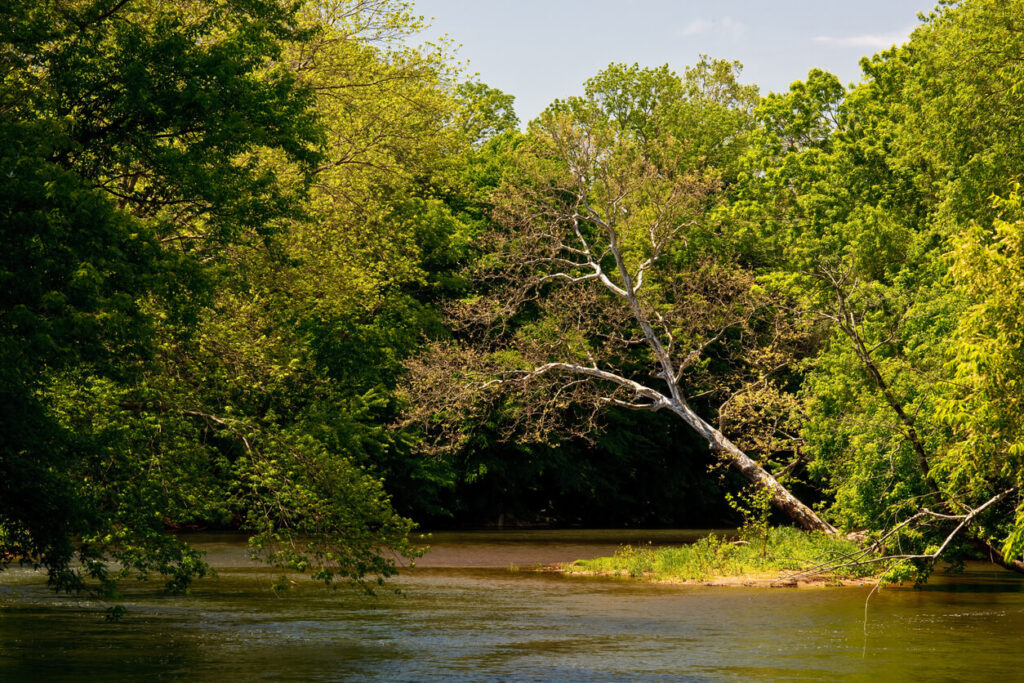 brandywine creek delaware