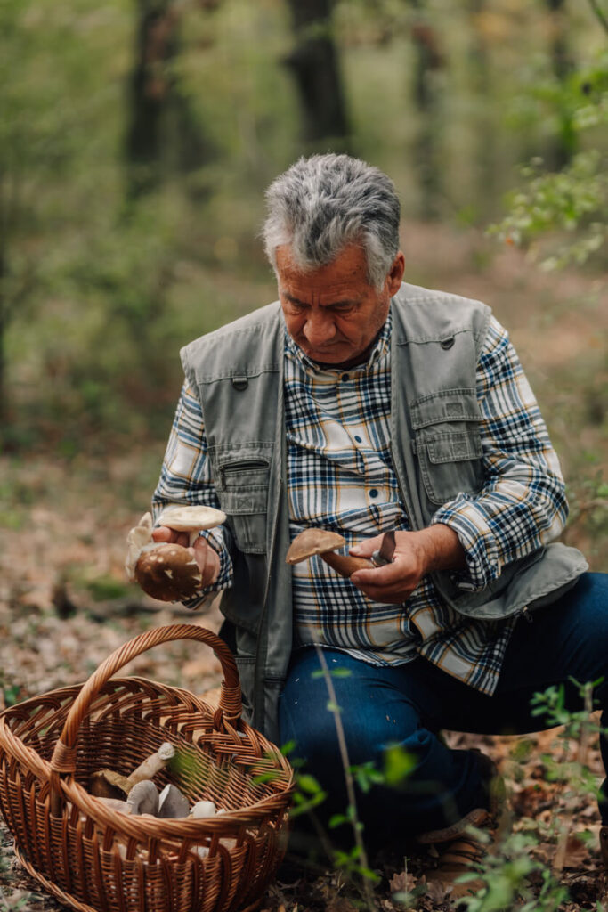 mushroom foraging in kennett square pa