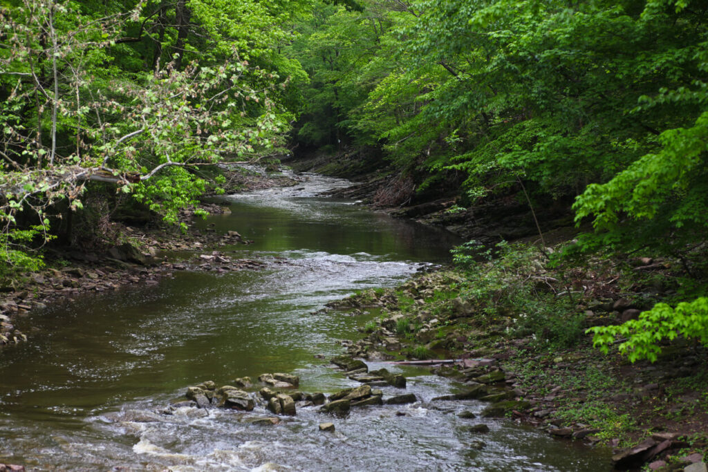 bucktoe-creek-preserve