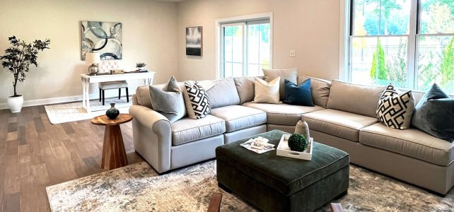 new construction townhome living room