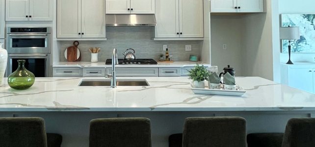 new build kitchen in longwood preserve