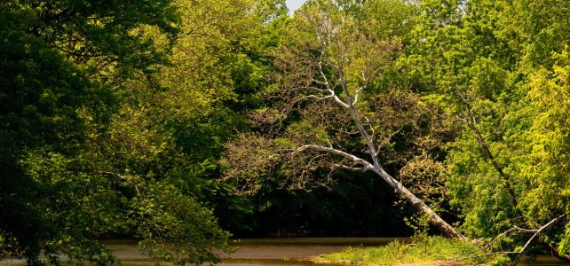brandywine creek delaware