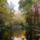 ridley creek state park