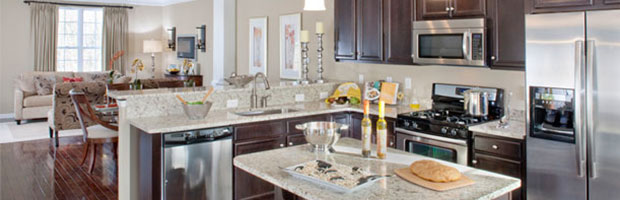 luxury kitchen in delaware townhome